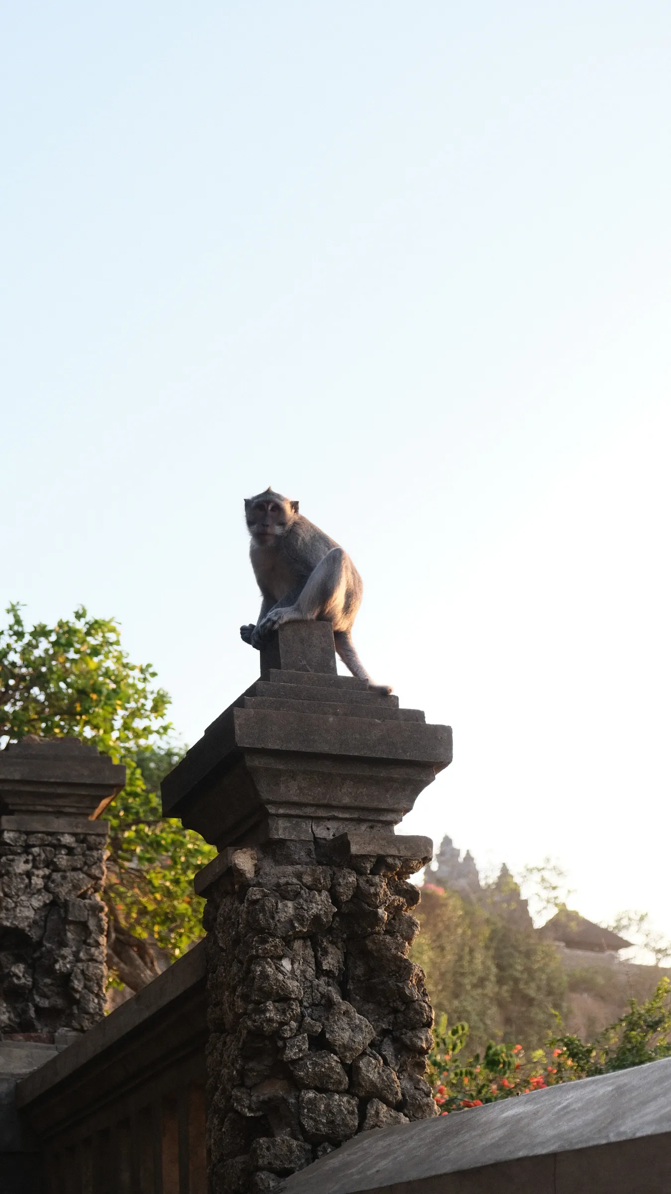 Travel photo 10